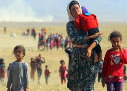 Мигранты в Молдове - что обещает международным структурам компрадорская власть