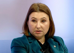 Депутат PAS: участники марша 9 мая - лицемерные агенты Кремля