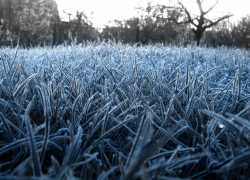 На севере Молдовы похолодает до минус 10