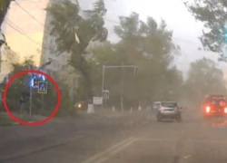 Падение дерева, чудом не убившего пешехода, попало на видео в Унгенах