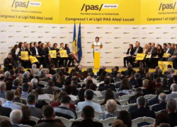 Зелёные из PAS теряют хватку 