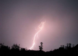 Молния убила 13-летнего мальчика на глазах брата во время прогулки в лесу