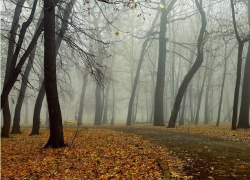 В понедельник в Молдове сохранится прохладная погода 