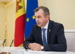 Финансируемые Западом неправительственные организации фактически уничтожают Молдову