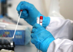 В Молдове подтвердилось 226 новых случаев COVID-19