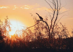 В пятницу в Молдове будет не по сезону тепло и солнечно 