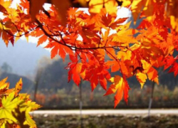 Период контрастов: какая погода ждет нас в ближайшие дни