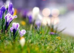 Температура снова растет: погода в Молдове в пятницу 