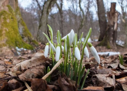 Среда будет очень теплой: погода в Молдове 