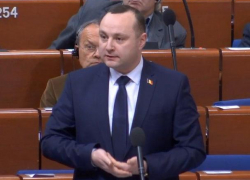 В ПАСЕ нужно заниматься правовыми вопросами, а не опротестовывать чьи-то полномочия, - Батрынча 