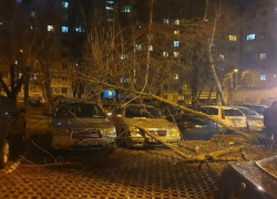 Бушующий ветер оставляет без электричества дома в 10 районах страны