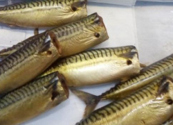 Цены на скумбрию в Молдове в некоторых магазинах взлетели до 390 леев за килограмм: жители возмущены