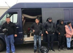 Гражданин Молдовы попался на незаконной перевозке мигрантов в Румынии