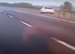 Сумасшедший прыжок обиженной любовником девушки из машины на скорости 96 км/ч сняли на видео 