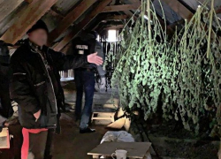 В Кагуле разоблачили группу наркоторговцев: два человека задержаны, изъято 8 кг марихуаны 