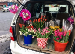 Налоговая проверит торговцев цветами 7 и 8 марта