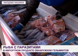 Зараженная глистами рыба: скандал и последствия