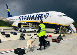 Кого жаль и кого не жаль из-за посадки самолета в Минске - мнение Демидецкого