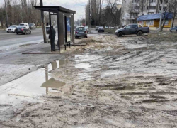 Как в хлеву. Наглые водители превратили газон в грязевое месиво