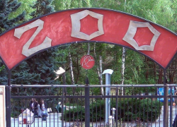 Годовалый ребенок получил тяжелейшие травмы у клетки с медведем в зоопарке Кишинева