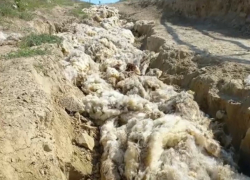 Сельские дороги в Хынчештском районе не на что ремонтировать, и их набили шерстью