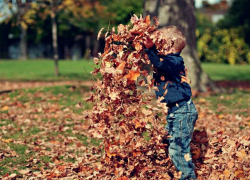 Во вторник в Молдове будет до +21°C, ночью возможны заморозки 