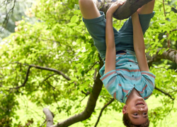 Три школьника погибли от удара тока при сборе орехов в Молдове