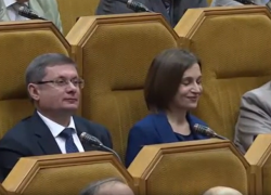 Экс-депутат призвал Санду к объединению с Румынией, сравнив её с Наполеоном