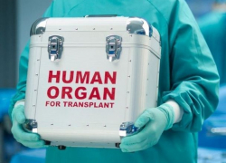 Теперь больше шансов получить орган для трансплантации 