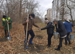 В Кишиневе продолжается посадка деревьев и кустарников