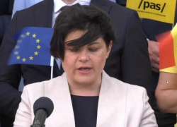 Гаврилица расстроена своим отсутствием в Дни диаспоры