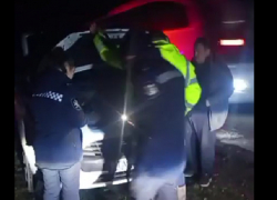 Проверка незаконной вырубки закончилась нападением на экологического инспектора