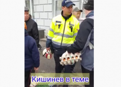 Полиция гоняет бабушек, торгующих копеечным луком: «незаконная уличная торговля»