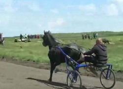 Чемпионат по скачкам прошел в Дрокиевском районе 