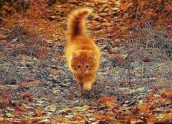 Во вторник в Молдове возможны дожди, пока незначительные 