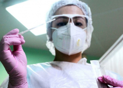 За воскресенье в Молдове +241 новых случаев COVID-19 