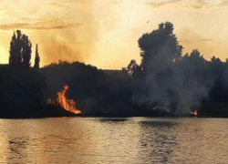 Ночью горел столичный парк «Ла Извор»