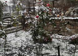 Еще один морозный день и снова потеплеет – погода в Молдове на вторник 