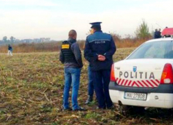 Молдаванина с пулями в груди, шее и руке обнаружили в поле в Румынии