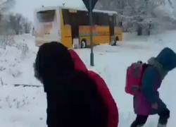 Под Леова в аварию попал школьный автобус, дети оказались в снежном плену