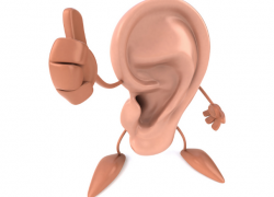 Житель Рыбницы повторил "подвиг" боксера Майка Тайсона