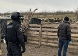 Рабство в 21-м веке: Владелец фермы из Флорешт эксплуатировал людей, избивал и толком не платил им денег