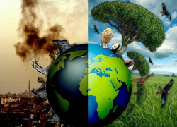 Важное объявление Агентства по защите окружающей среды