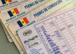 Новые водительские права в Молдове получат усиленную защиту и QR-код