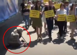 ПАС-овцы чуть не затоптали старушку, просившую милостыню