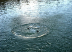 Тело 11-летней девочки вытащили спасатели из Днестра 