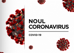 Срочно! В Молдове выявлено 72 новых случая COVID-19