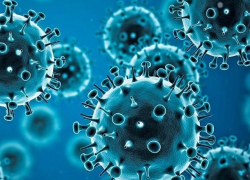 В Молдове подтвердились 133 новых случаев COVID-19 – данные за субботу