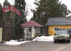 Пострадавший от нападения тигра мужчина пережил две операции и по-прежнему в тяжелом состоянии