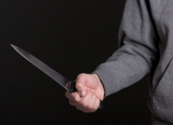 "И нож в руке разбойничий, стальной": в Бендерах будут судить пьяного живодера